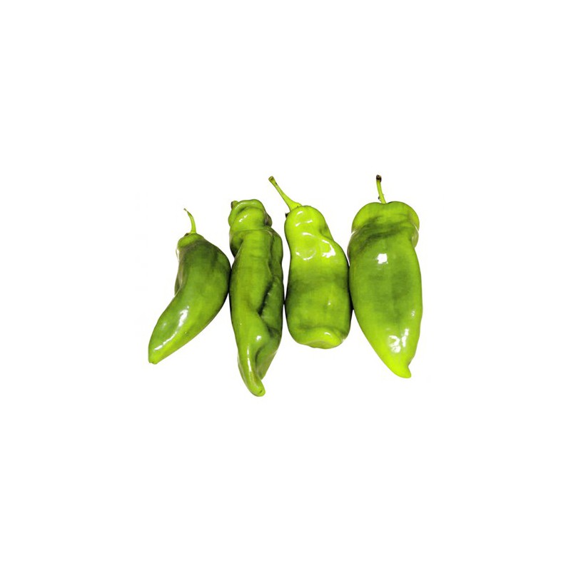 Foto Pimiento verde italiano eco (1 kg) Foto Pimiento verde italiano eco (1 kg)