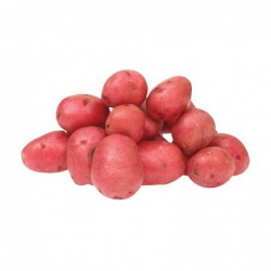 Foto Patata rojas pontiac eco (1 kg)