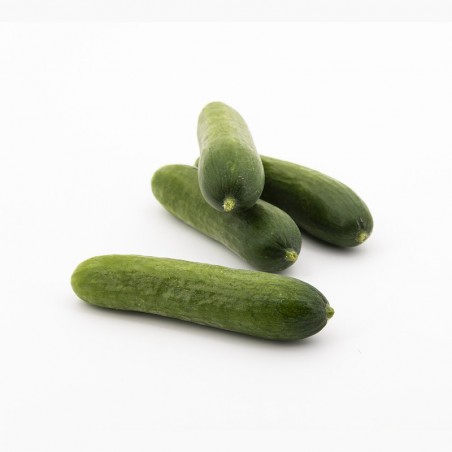 Foto Pepino eco (1 kg)