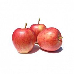 Foto Manzanas royal gala ecológicas (500 g)