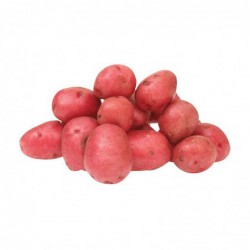 Verduras