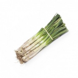 Verduras