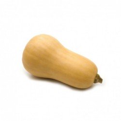 Foto Calabaza violín ecológica (1 unidad)