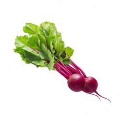 Foto Remolacha ecológica (1 manojo)