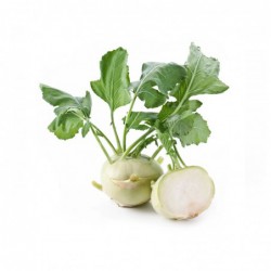 Verduras