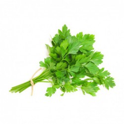 Hierbas Aromáticas