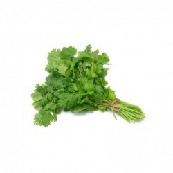 Hierbas Aromáticas