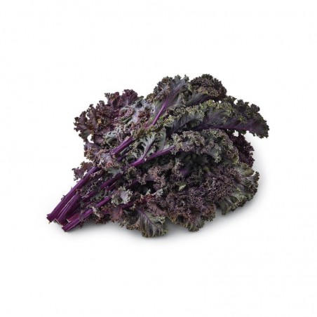 Foto Col kale morada ecológica (1 manojo)