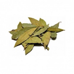 Hierbas Aromáticas