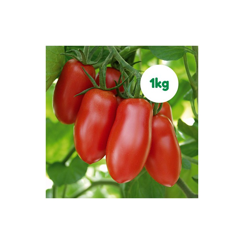 Foto Tomate del pimiento ecológico (1 kg) Foto Tomate del pimiento ecológico (1 kg)
