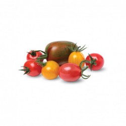 Foto Tomate cherry mix: rojo, amarillo y verde (500 g)