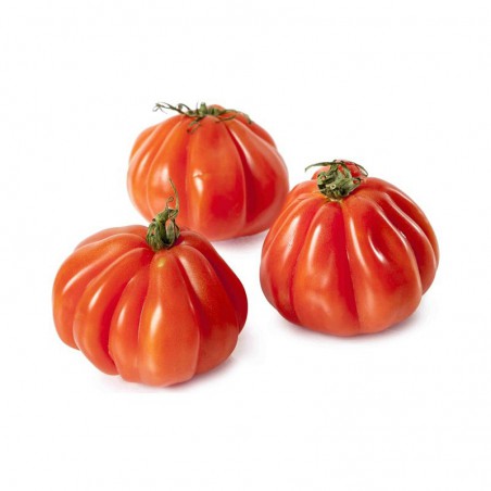 Foto Tomate corazón de buey ecológico (500 g)