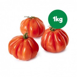 Verduras