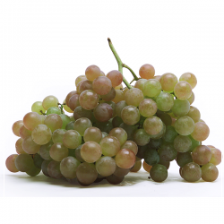Uva Moscatel Ecológica (500 g)