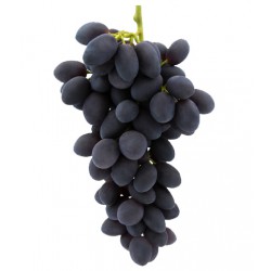 Frutas