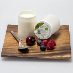 Yogur ecológico (125g)