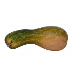Verduras
