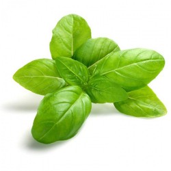 Hierbas Aromáticas