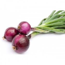 Verduras