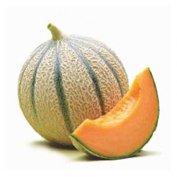 Melón Cantalupo ecologico...
