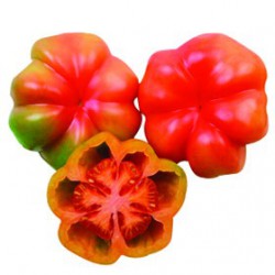 Verduras