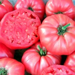 Tomate rosa ensalada...