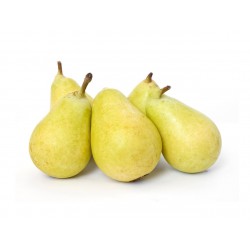 Frutas
