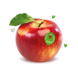 Frutas