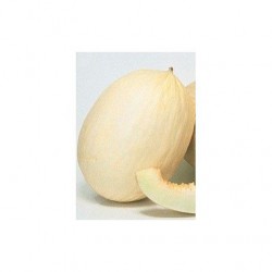 Melón blanco ecológico...
