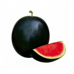 Foto Sandía entera ecológica (2,8-3,2 kg)