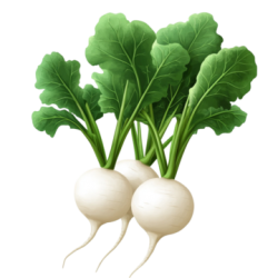 Verduras