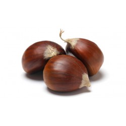 Castañas ecológicas 500g