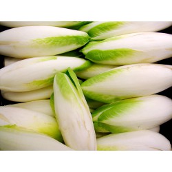 Verduras