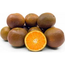 Naranja ecológica...