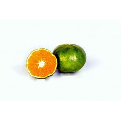 Mandarinas Satsuma...